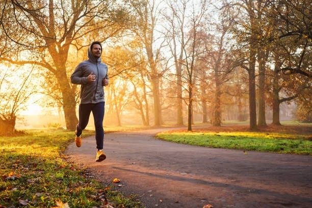 Löpare joggar på en parkväg i morgonsolens sken
